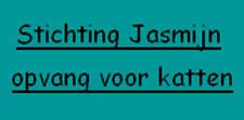 Tijdelijke opvang voor katten en moederloze kittens